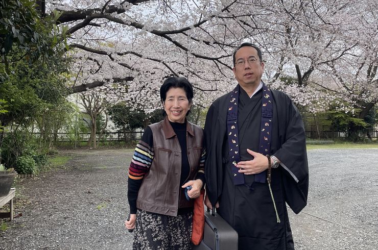 桜