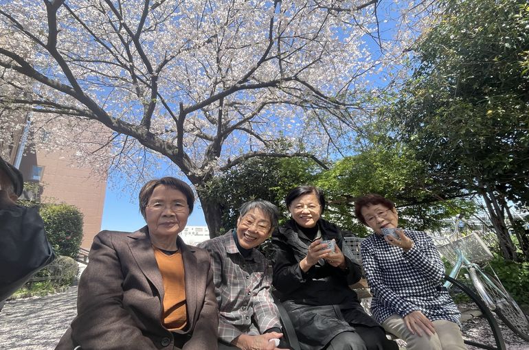 桜